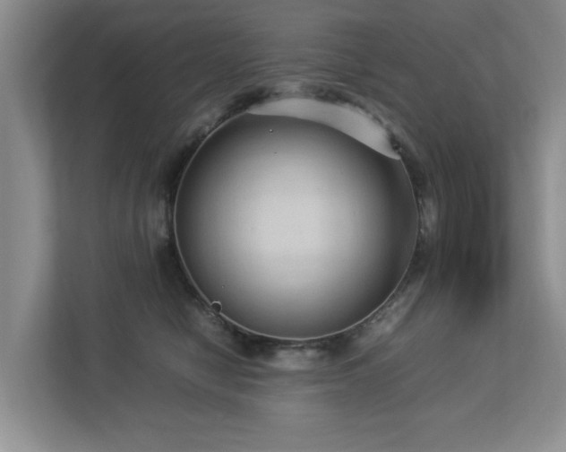 X0000112950470200908241346