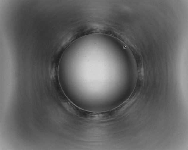 X0000112950472200908241346