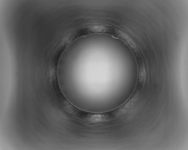 X0000112950473200908241346