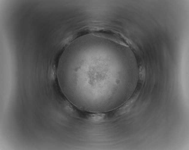 X0000112950474200908241346