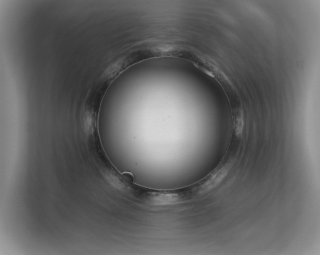 X0000112950476200908241346