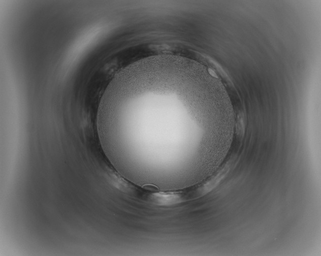 X0000112950477200908241346