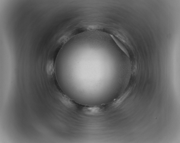 X0000112950478200908241346