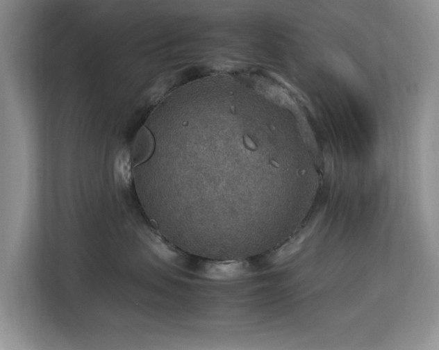 X0000112950479200908241346