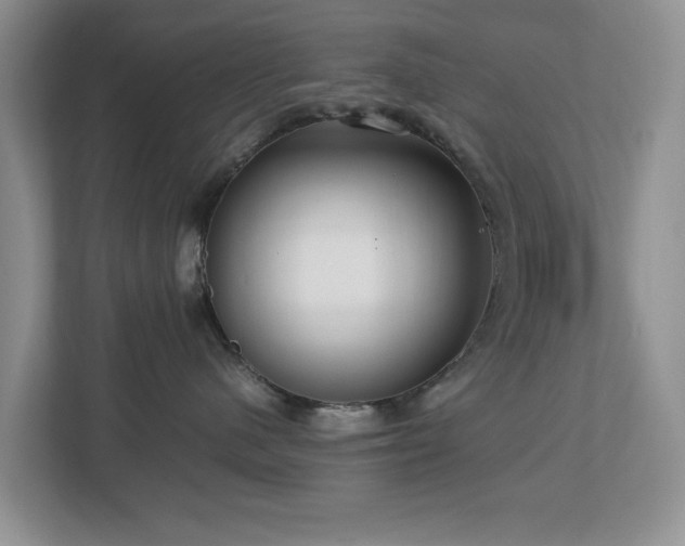 X0000112950480200908241346