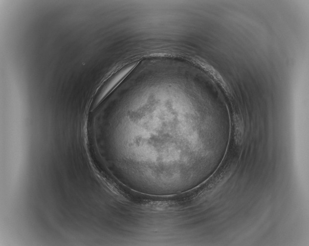 X0000112950482200908241346