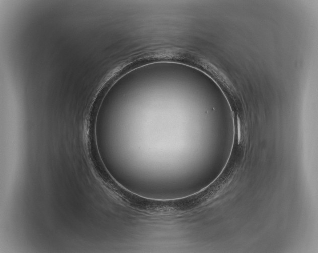 X0000112950483200908241346