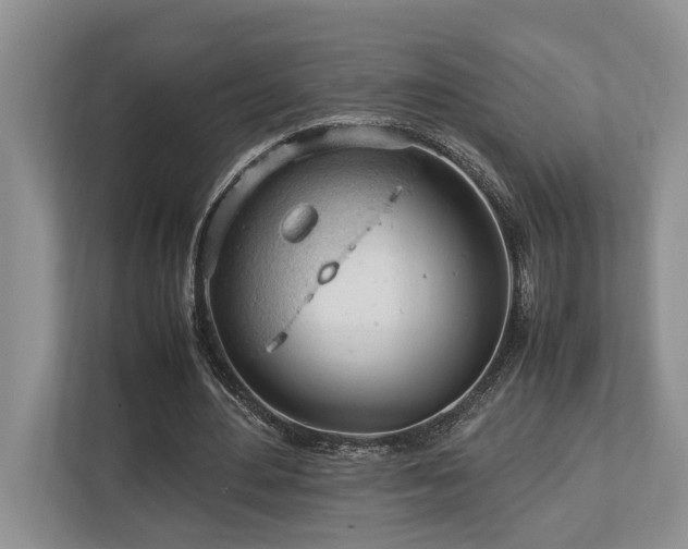 X0000112950484200908241346