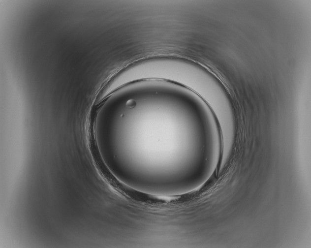 X0000112950485200908241346