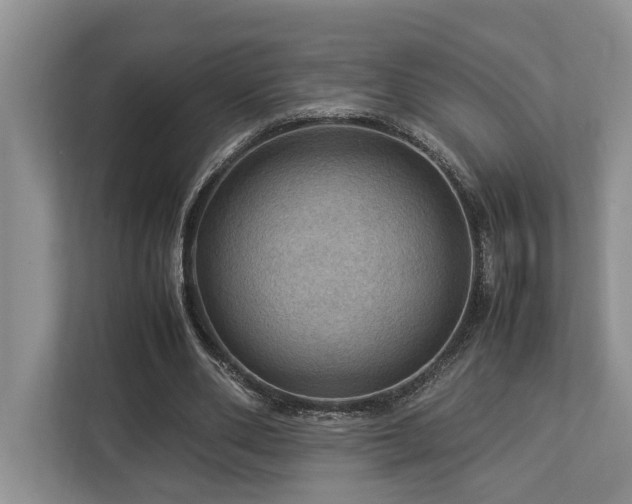 X0000112950486200908241346