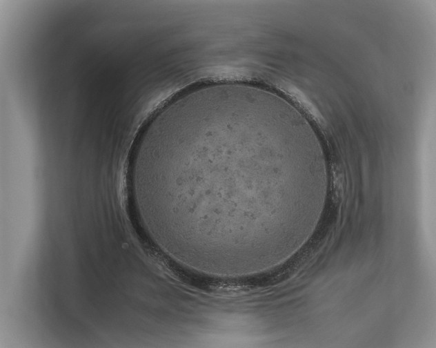 X0000112950487200908241346