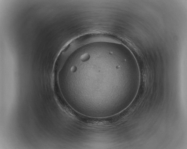 X0000112950488200908241346