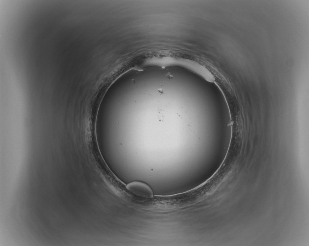 X0000112950489200908241345