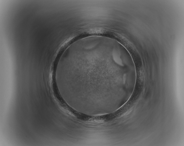 X0000112950491200908241345