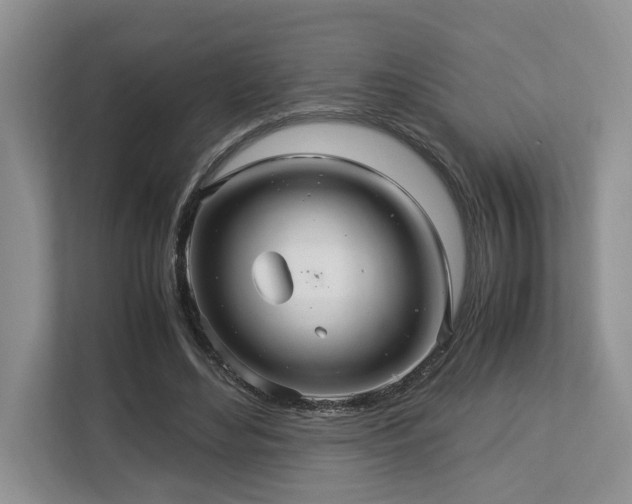 X0000112950492200908241345