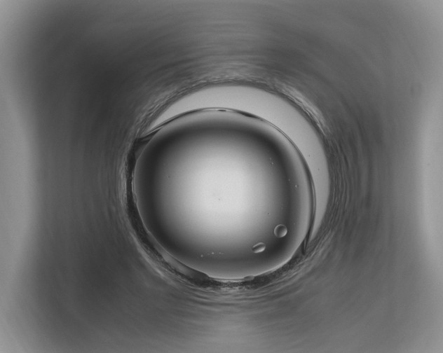 X0000112950493200908241345