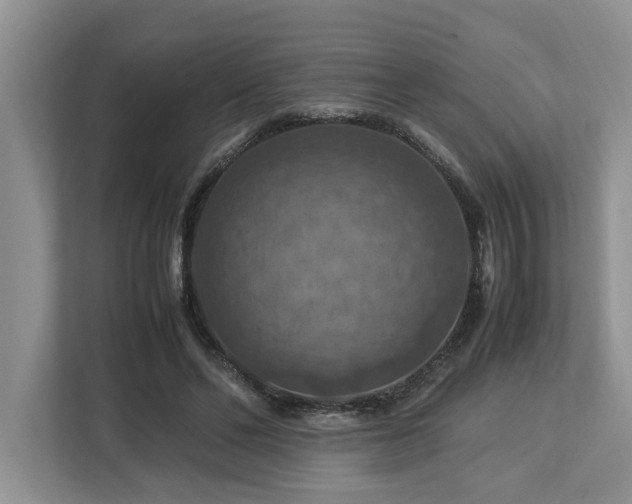 X0000112950494200908241345