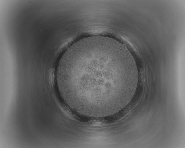 X0000112950495200908241345