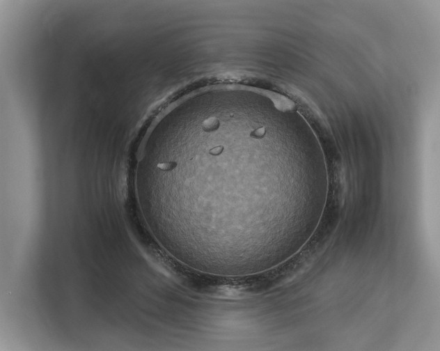 X0000112950496200908241345