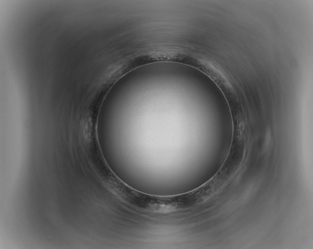 X0000112950498200908241345