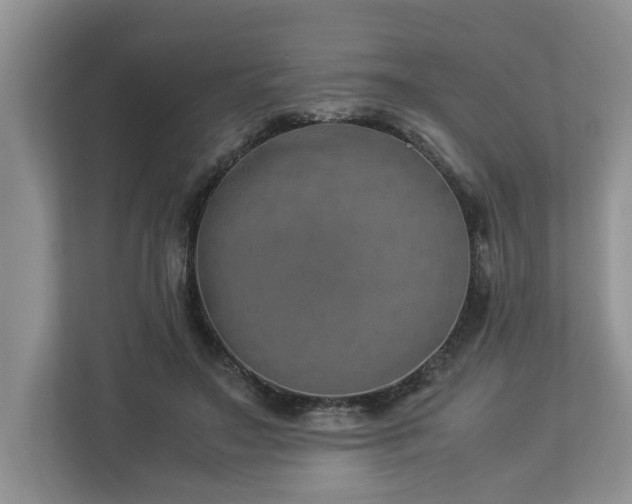 X0000112950499200908241345