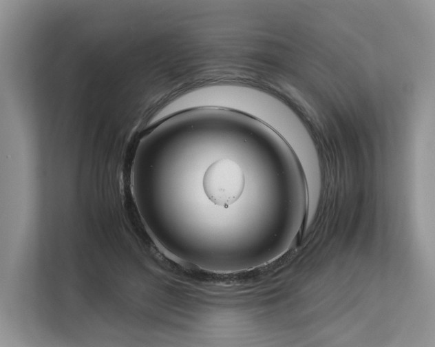 X0000112950500200908241345