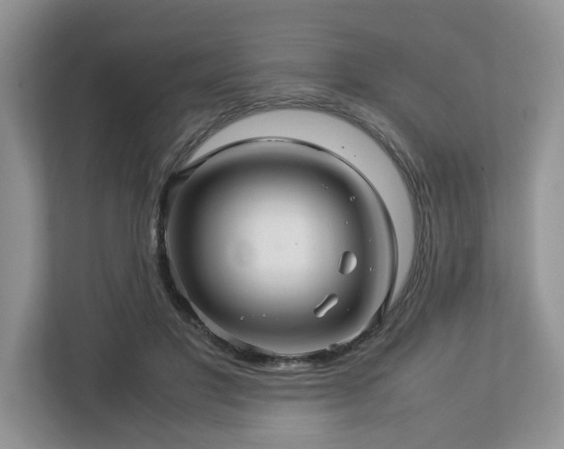 X0000112950501200908241345