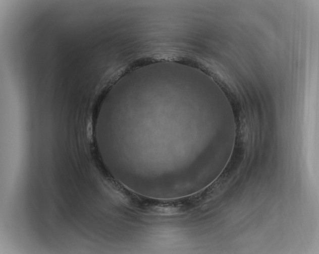 X0000112950502200908241345