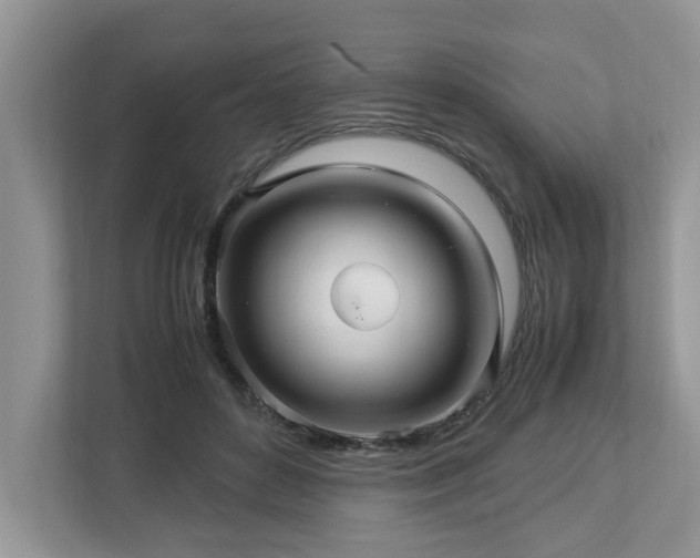 X0000112950504200908241345