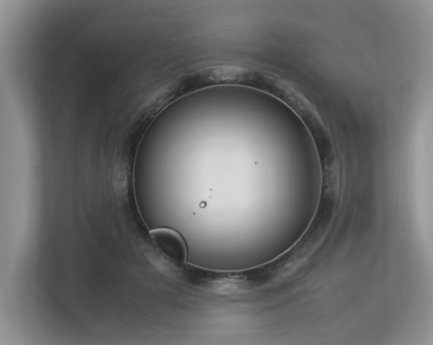 X0000112950505200908241345