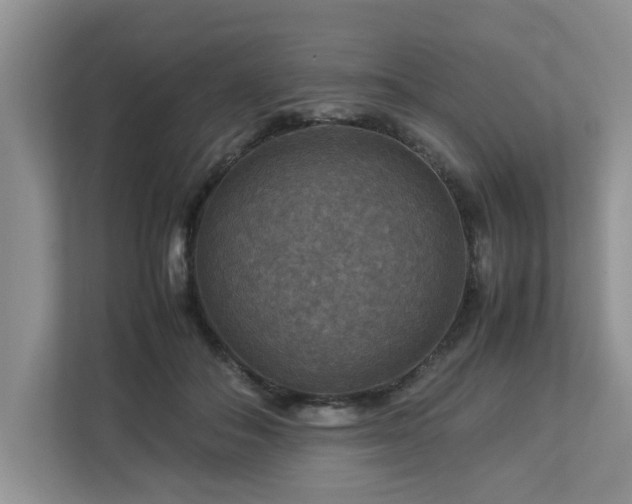 X0000112950506200908241345