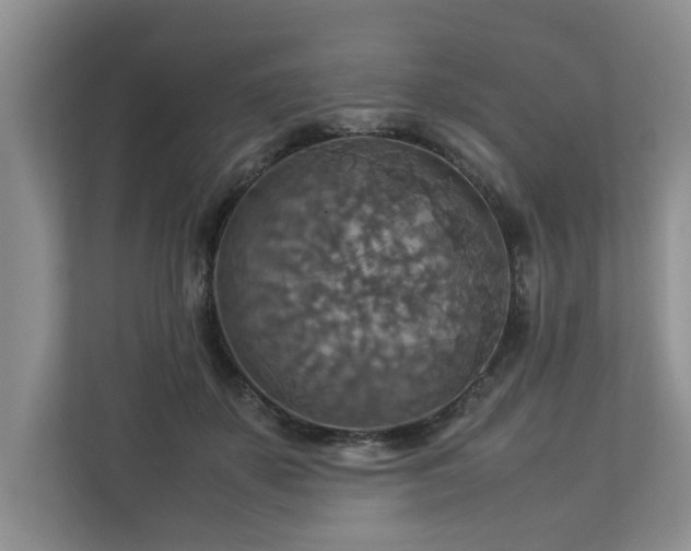 X0000112950507200908241345