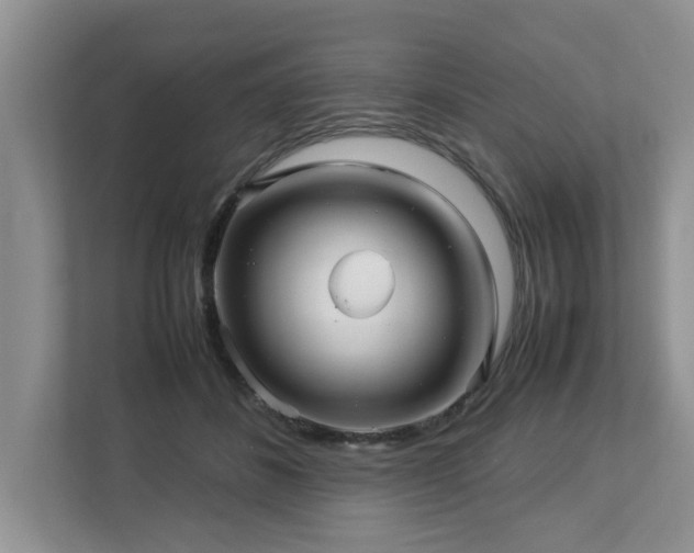 X0000112950508200908241345