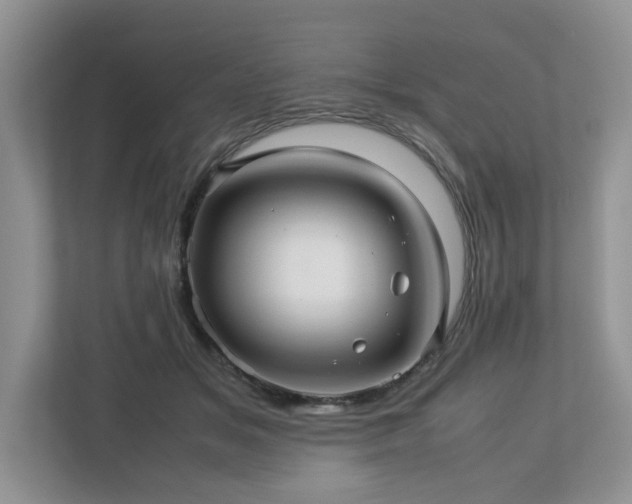 X0000112950509200908241345