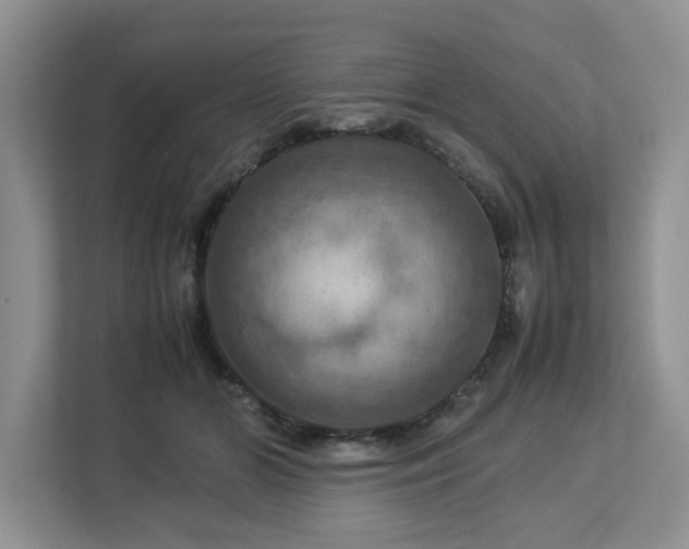 X0000112950510200908241345