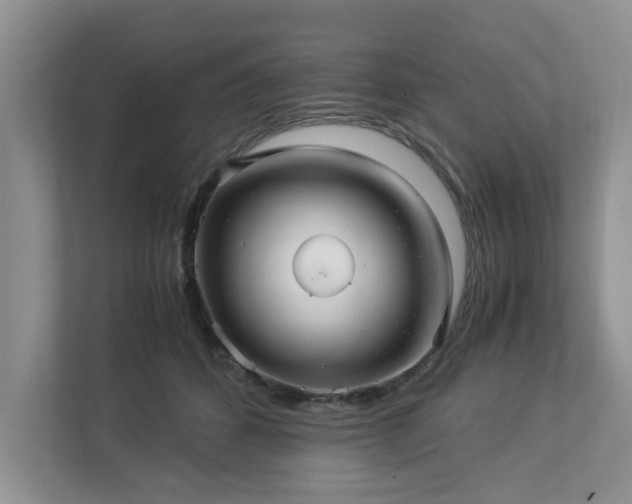 X0000112950512200908241345