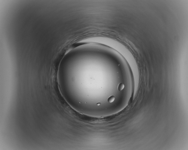 X0000112950513200908241345