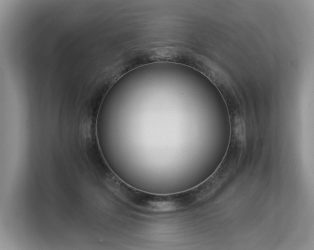 X0000112950514200908241345