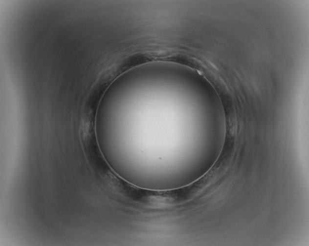 X0000112950515200908241345