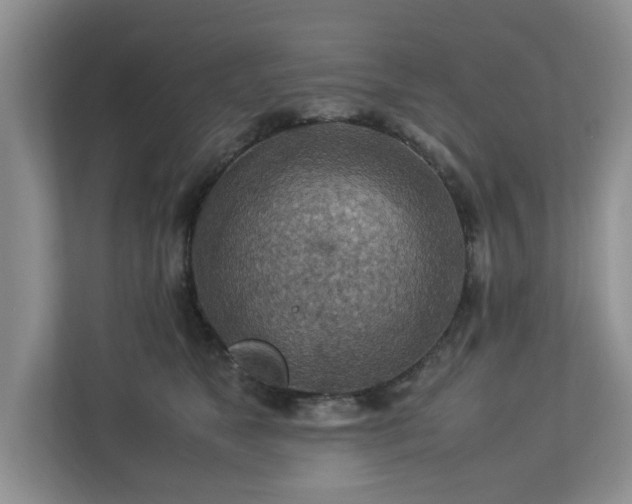 X0000112950517200908241345