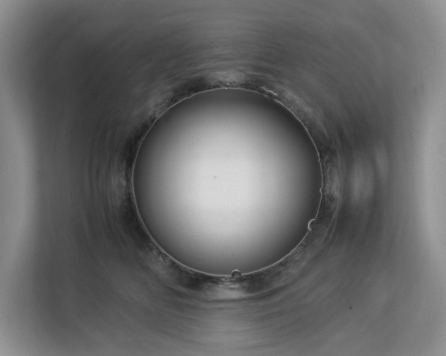 X0000112950518200908241345