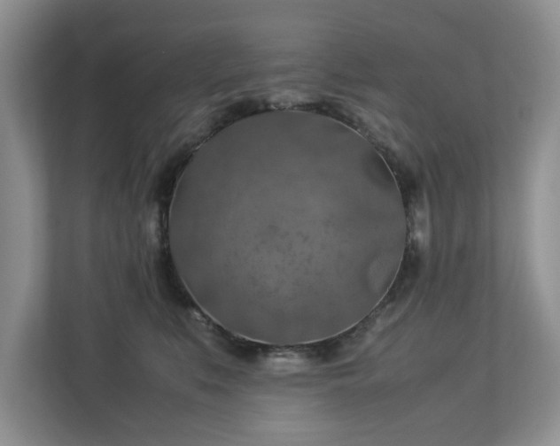 X0000112950519200908241345