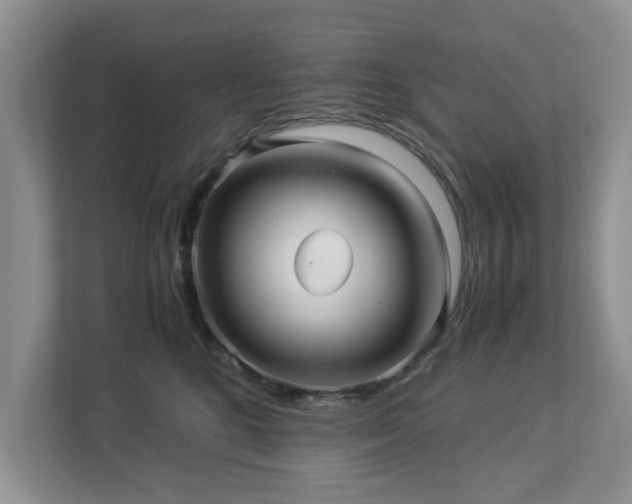 X0000112950520200908241345