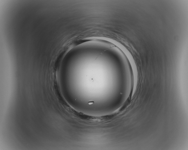 X0000112950521200908241345