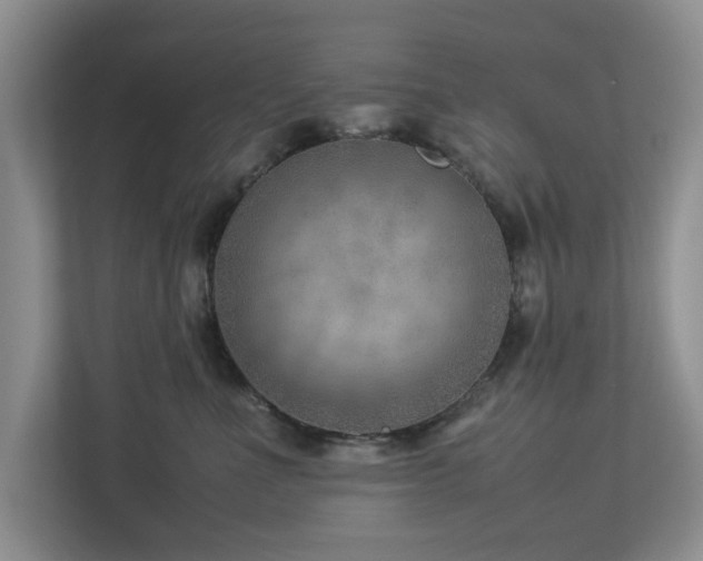 X0000112950523200908241345