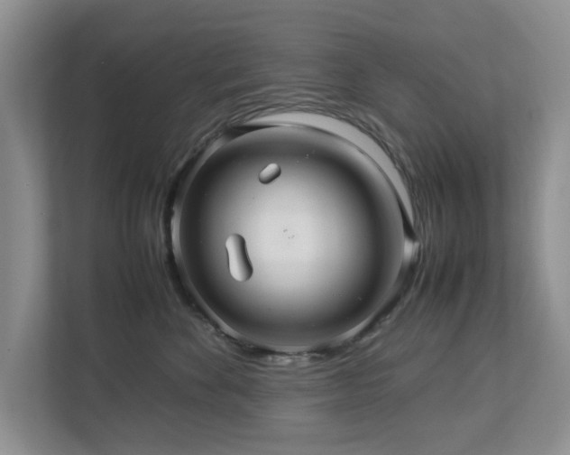 X0000112950524200908241345