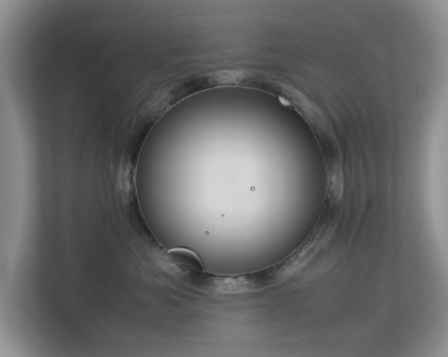 X0000112950525200908241345