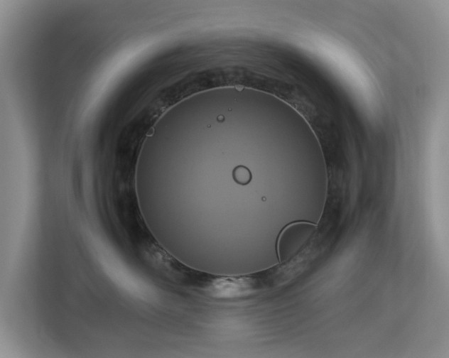 X0000112950526200908241345