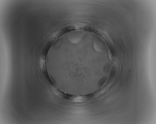 X0000112950527200908241345