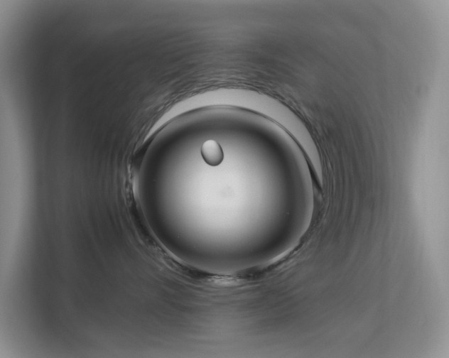 X0000112950528200908241345